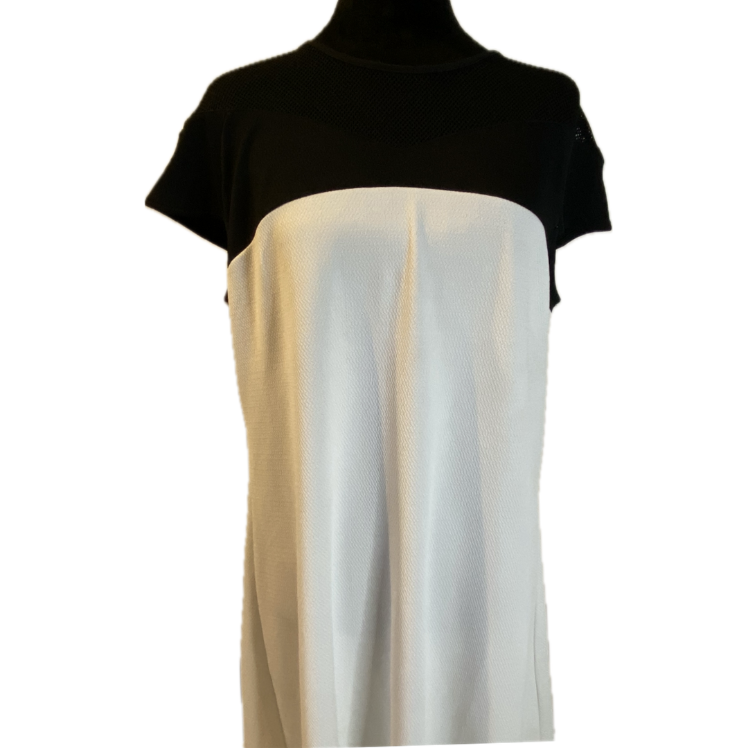 White Dress with Black Mesh Short Sleeves (NEW) – 